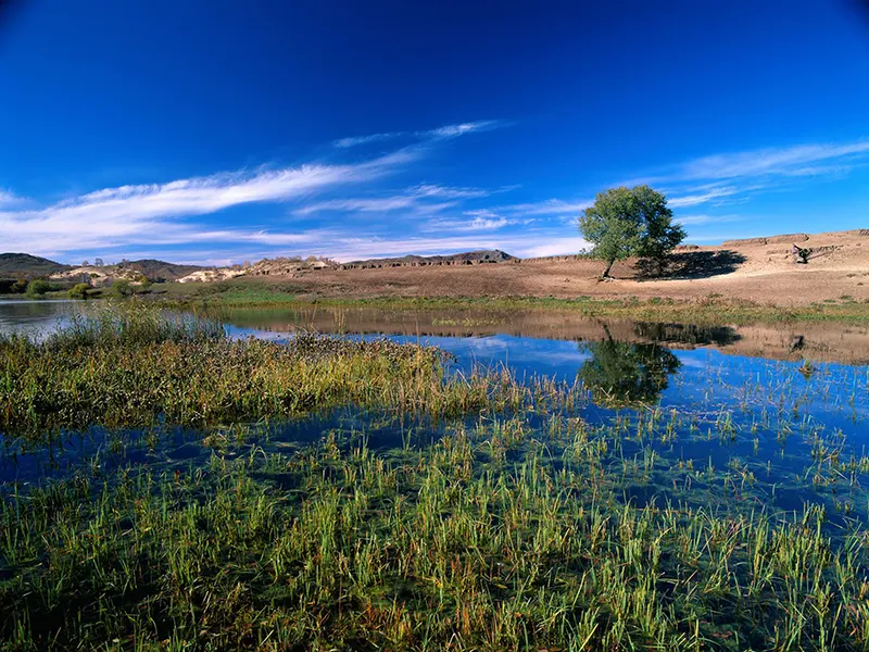 Protección ecológica