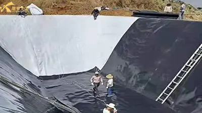 Explicar el proceso detallado y las precauciones para la colocación de geomembrana en estanques de peces.