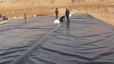 Cinco requisitos ambientales para la construcción de membranas antifiltración para la acuicultura en estanques de loto